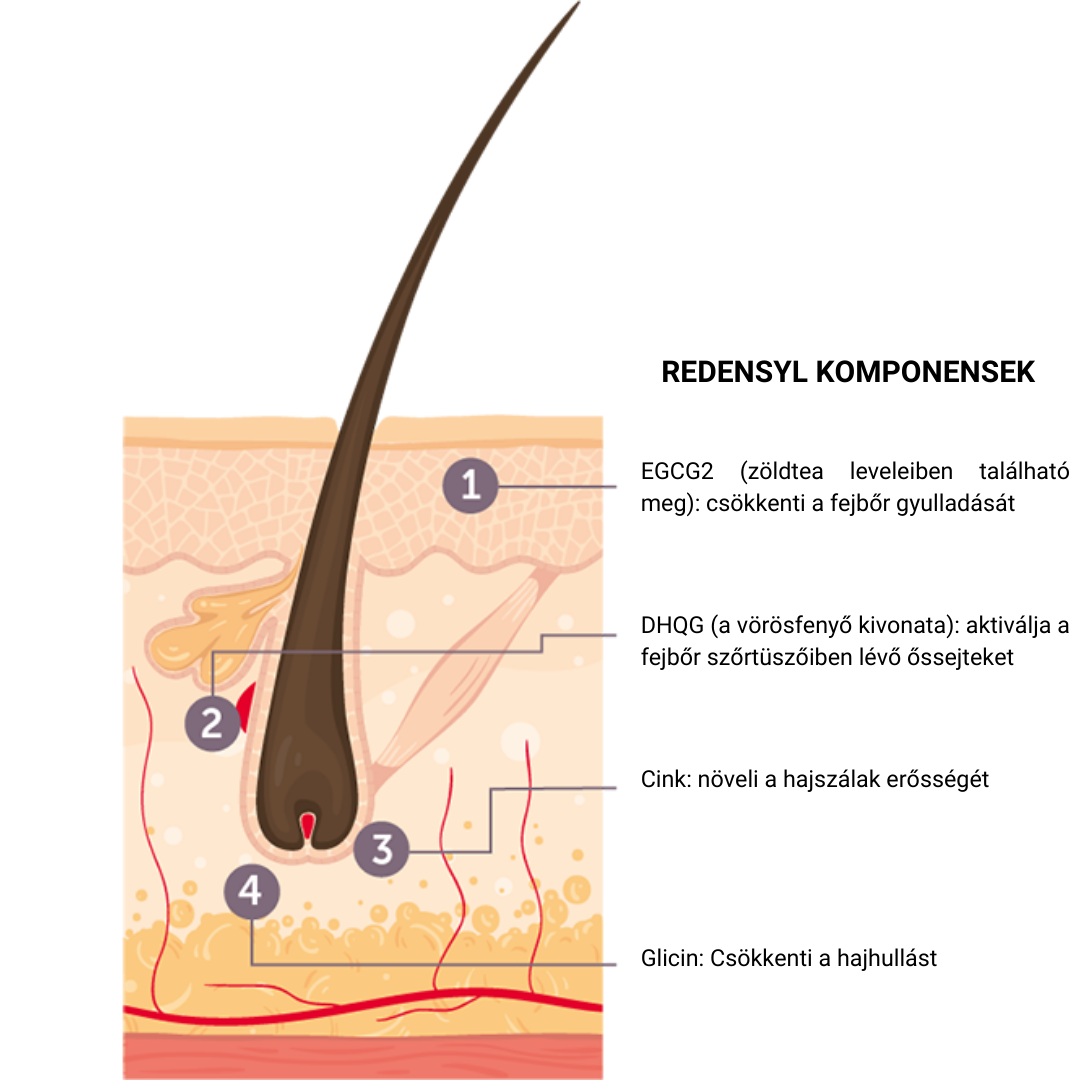 redensyl összetevői és eredménye